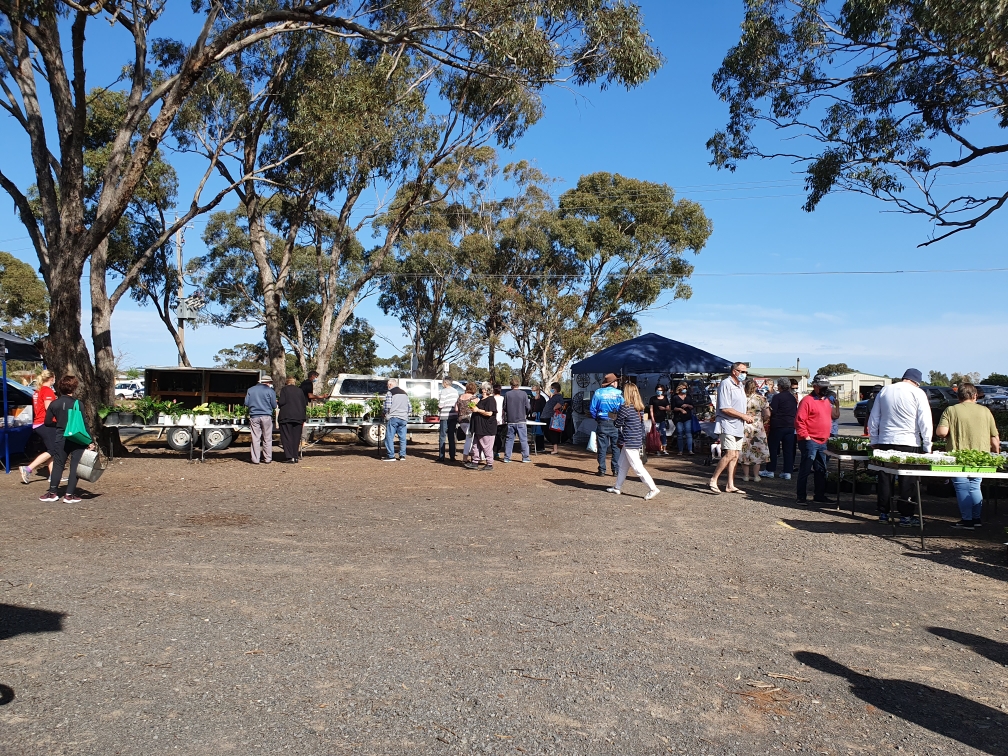 Locals browsing stalls at the Haven Market on a bright morning
