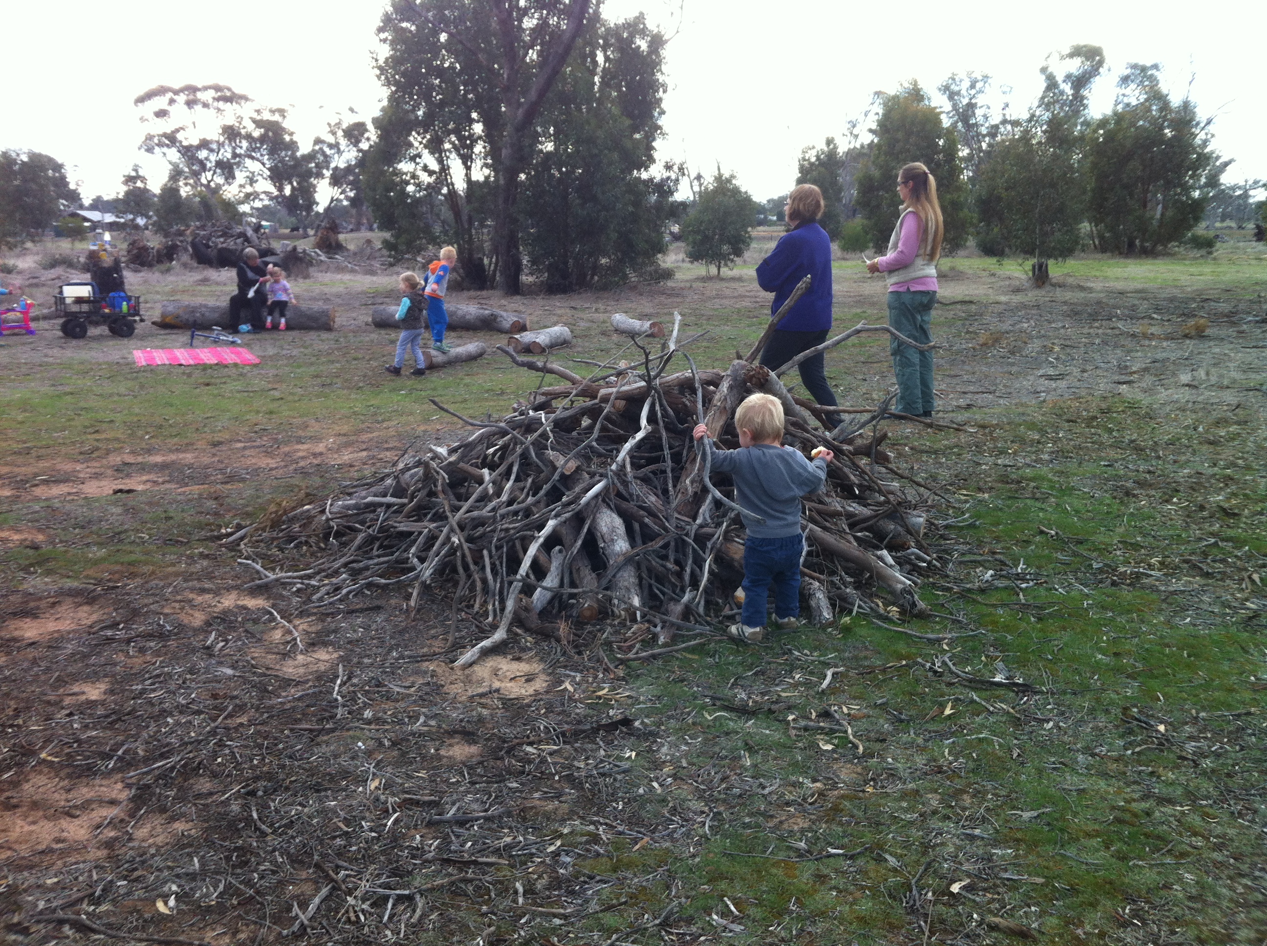 The Haven reserve, the subject of precinct planning